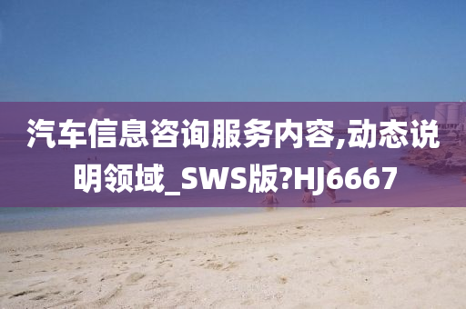 汽车信息咨询服务内容,动态说明领域_SWS版?HJ6667