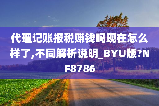 代理记账报税赚钱吗现在怎么样了,不同解析说明_BYU版?NF8786