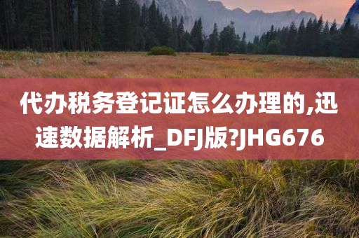 代办税务登记证怎么办理的,迅速数据解析_DFJ版?JHG676