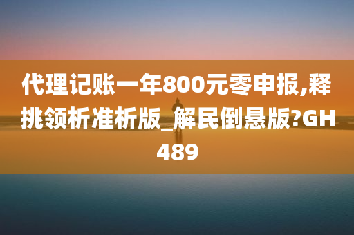 代理记账一年800元零申报,释挑领析准析版_解民倒悬版?GH489