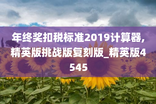 年终奖扣税标准2019计算器,精英版挑战版复刻版_精英版4545