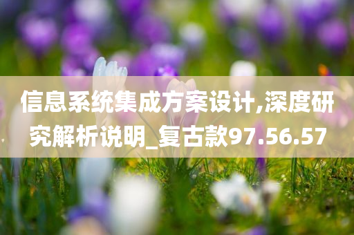 信息系统集成方案设计,深度研究解析说明_复古款97.56.57