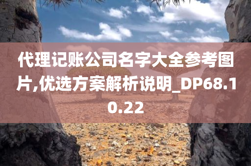 代理记账公司名字大全参考图片,优选方案解析说明_DP68.10.22