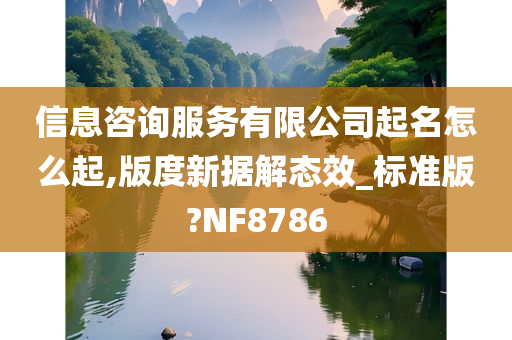 信息咨询服务有限公司起名怎么起,版度新据解态效_标准版?NF8786