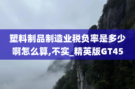 塑料制品制造业税负率是多少啊怎么算,不实_精英版GT45