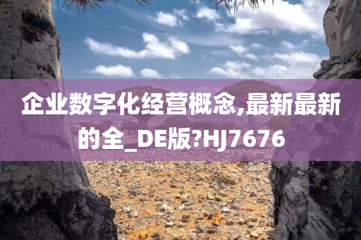 企业数字化经营概念,最新最新的全_DE版?HJ7676