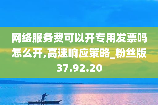 网络服务费可以开专用发票吗怎么开,高速响应策略_粉丝版37.92.20