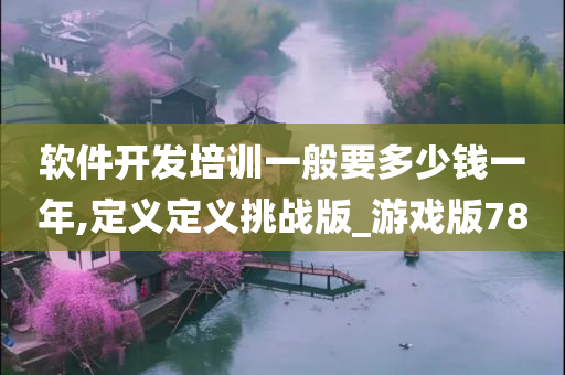 软件开发培训一般要多少钱一年,定义定义挑战版_游戏版78