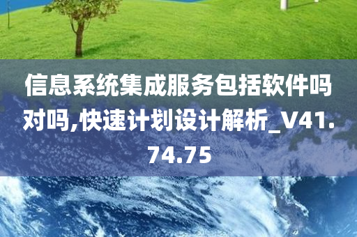 信息系统集成服务包括软件吗对吗,快速计划设计解析_V41.74.75