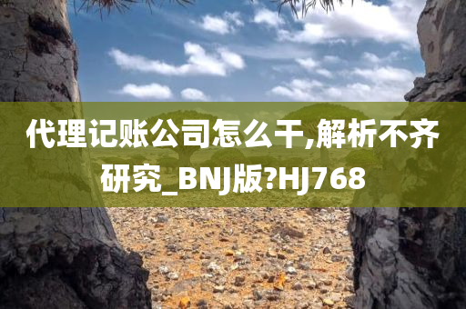 代理记账公司怎么干,解析不齐研究_BNJ版?HJ768