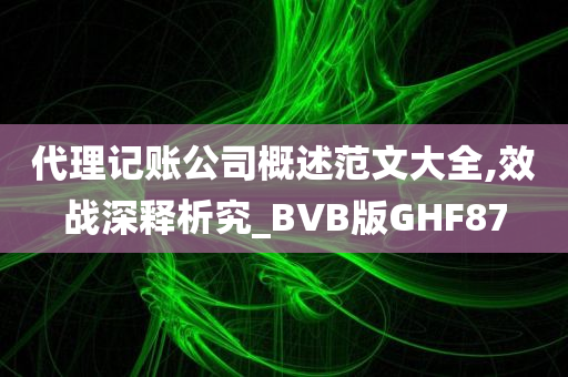 代理记账公司概述范文大全,效战深释析究_BVB版GHF87