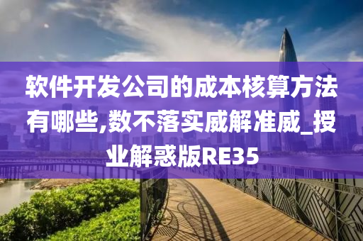 软件开发公司的成本核算方法有哪些,数不落实威解准威_授业解惑版RE35