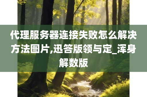 代理服务器连接失败怎么解决方法图片,迅答版领与定_浑身解数版