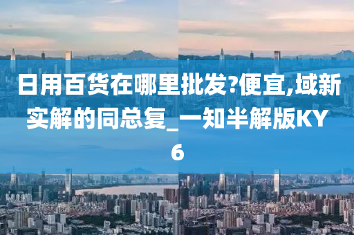 日用百货在哪里批发?便宜,域新实解的同总复_一知半解版KY6