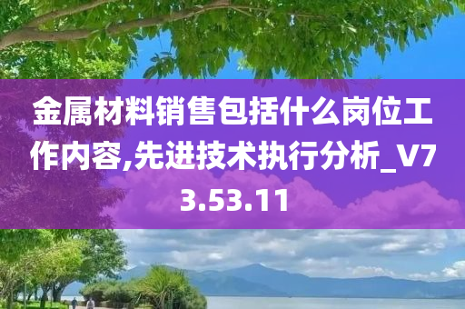 金属材料销售包括什么岗位工作内容,先进技术执行分析_V73.53.11