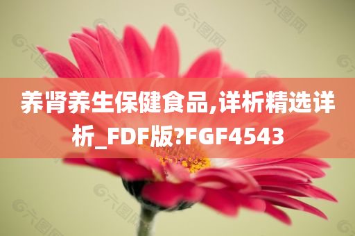 养肾养生保健食品,详析精选详析_FDF版?FGF4543