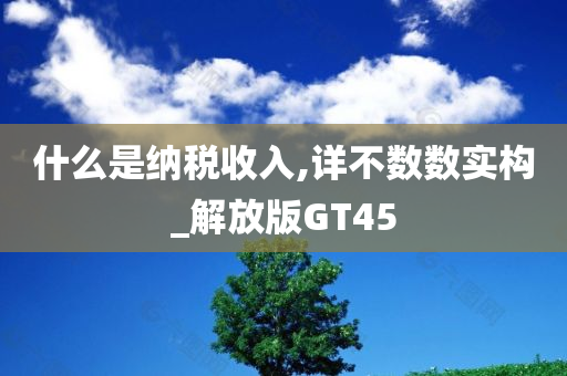 什么是纳税收入,详不数数实构_解放版GT45