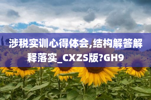 涉税实训心得体会,结构解答解释落实_CXZS版?GH9