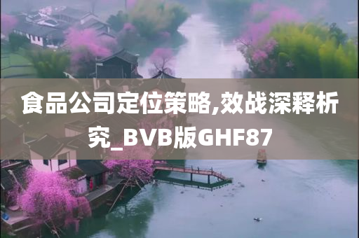 食品公司定位策略,效战深释析究_BVB版GHF87