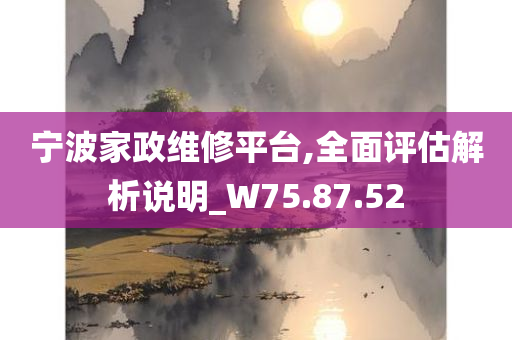 宁波家政维修平台,全面评估解析说明_W75.87.52