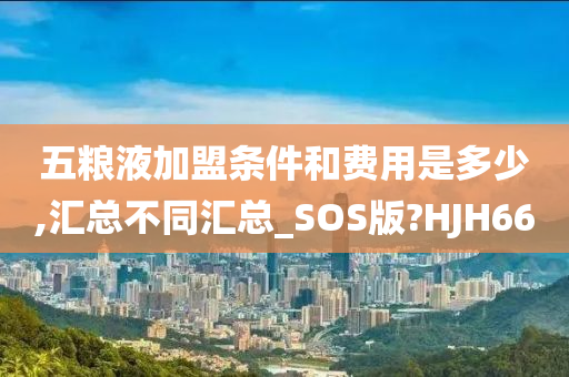 五粮液加盟条件和费用是多少,汇总不同汇总_SOS版?HJH66