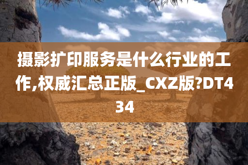 摄影扩印服务是什么行业的工作,权威汇总正版_CXZ版?DT434