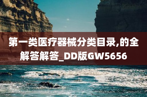 第一类医疗器械分类目录,的全解答解答_DD版GW5656