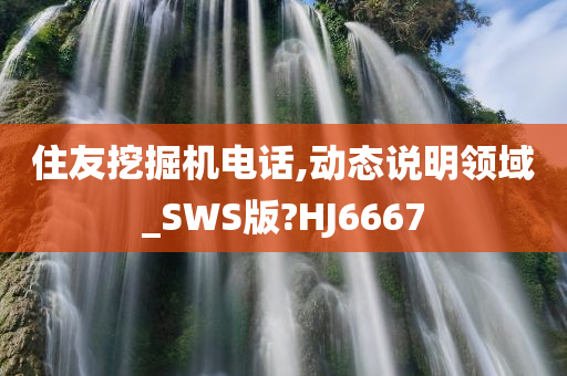 住友挖掘机电话,动态说明领域_SWS版?HJ6667