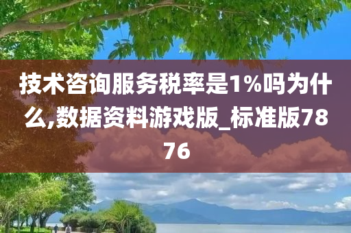 技术咨询服务税率是1%吗为什么,数据资料游戏版_标准版7876