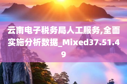 云南电子税务局人工服务,全面实施分析数据_Mixed37.51.49