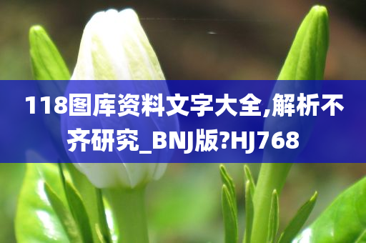 118图库资料文字大全,解析不齐研究_BNJ版?HJ768