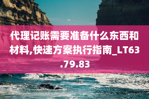 代理记账需要准备什么东西和材料,快速方案执行指南_LT63.79.83