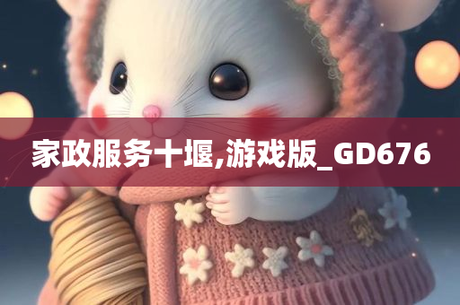 家政服务十堰,游戏版_GD676