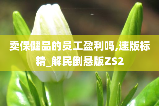 卖保健品的员工盈利吗,速版标精_解民倒悬版ZS2