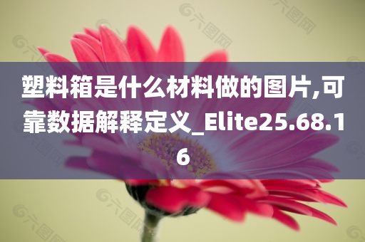 塑料箱是什么材料做的图片,可靠数据解释定义_Elite25.68.16