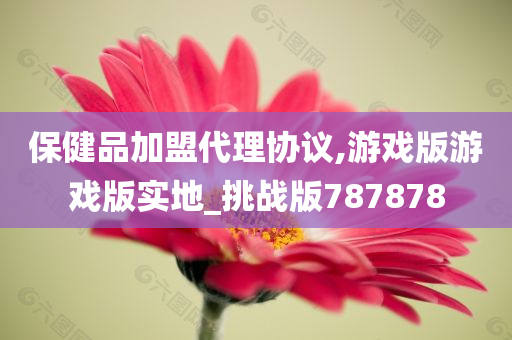 保健品加盟代理协议,游戏版游戏版实地_挑战版787878