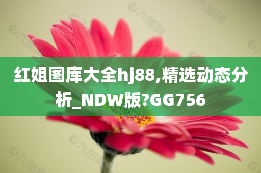 红姐图库大全hj88,精选动态分析_NDW版?GG756