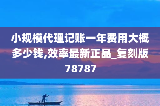 小规模代理记账一年费用大概多少钱,效率最新正品_复刻版78787