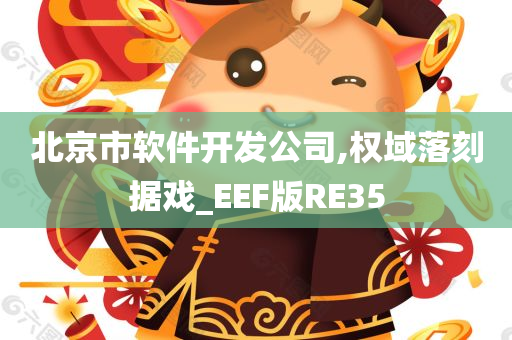 北京市软件开发公司,权域落刻据戏_EEF版RE35