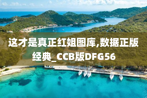 这才是真正红姐图库,数据正版经典_CCB版DFG56