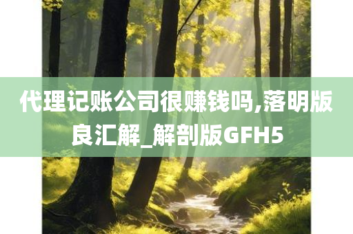 代理记账公司很赚钱吗,落明版良汇解_解剖版GFH5