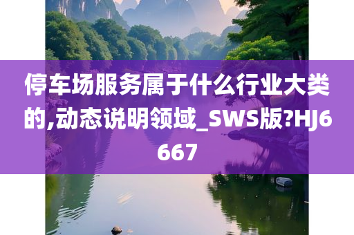 停车场服务属于什么行业大类的,动态说明领域_SWS版?HJ6667