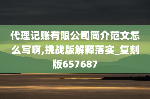 代理记账有限公司简介范文怎么写啊,挑战版解释落实_复刻版657687