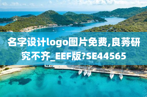 名字设计logo图片免费,良莠研究不齐_EEF版?SE44565