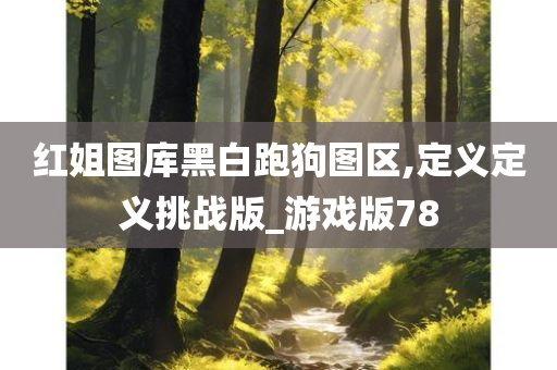 红姐图库黑白跑狗图区,定义定义挑战版_游戏版78