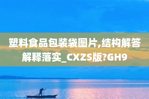 塑料食品包装袋图片,结构解答解释落实_CXZS版?GH9