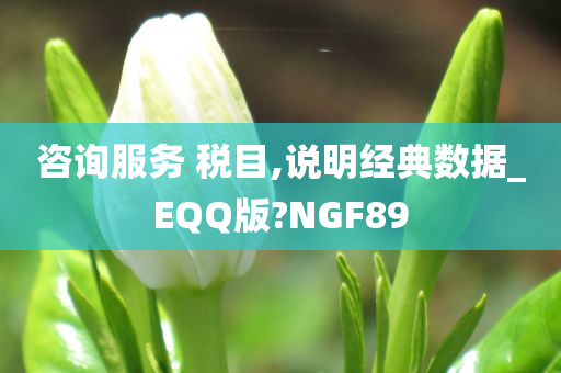 咨询服务 税目,说明经典数据_EQQ版?NGF89