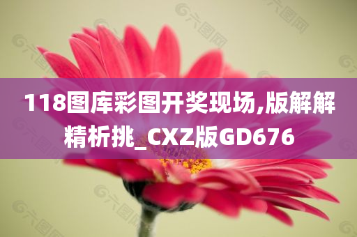 118图库彩图开奖现场,版解解精析挑_CXZ版GD676