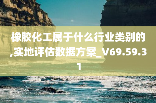 橡胶化工属于什么行业类别的,实地评估数据方案_V69.59.31