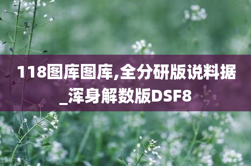 118图库图库,全分研版说料据_浑身解数版DSF8